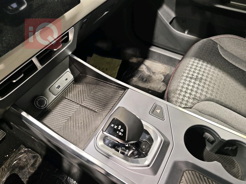 جیتۆر داشينگ